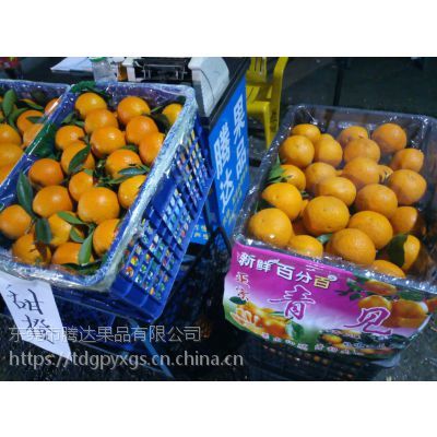 廣州江南水果批發市場代賣服務 新鮮水果批發的便捷之選