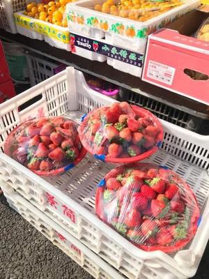 草莓車厘子甜蜜上市，新鮮水果批發(fā)價格觀察
