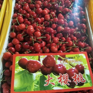 廣東水果批發商 新鮮水果批發的優勢與運營指南